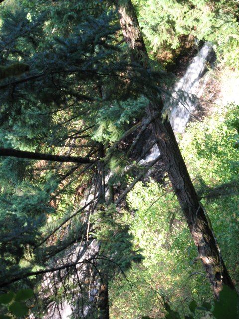 8.15.06 Angels Rest 028 